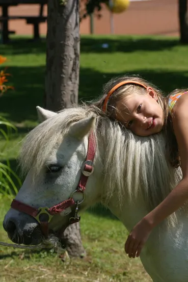 Reiten am Klopeiner See